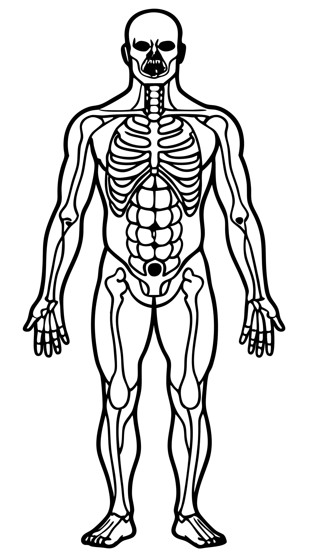 coloriages d’anatomie humaine imprimables